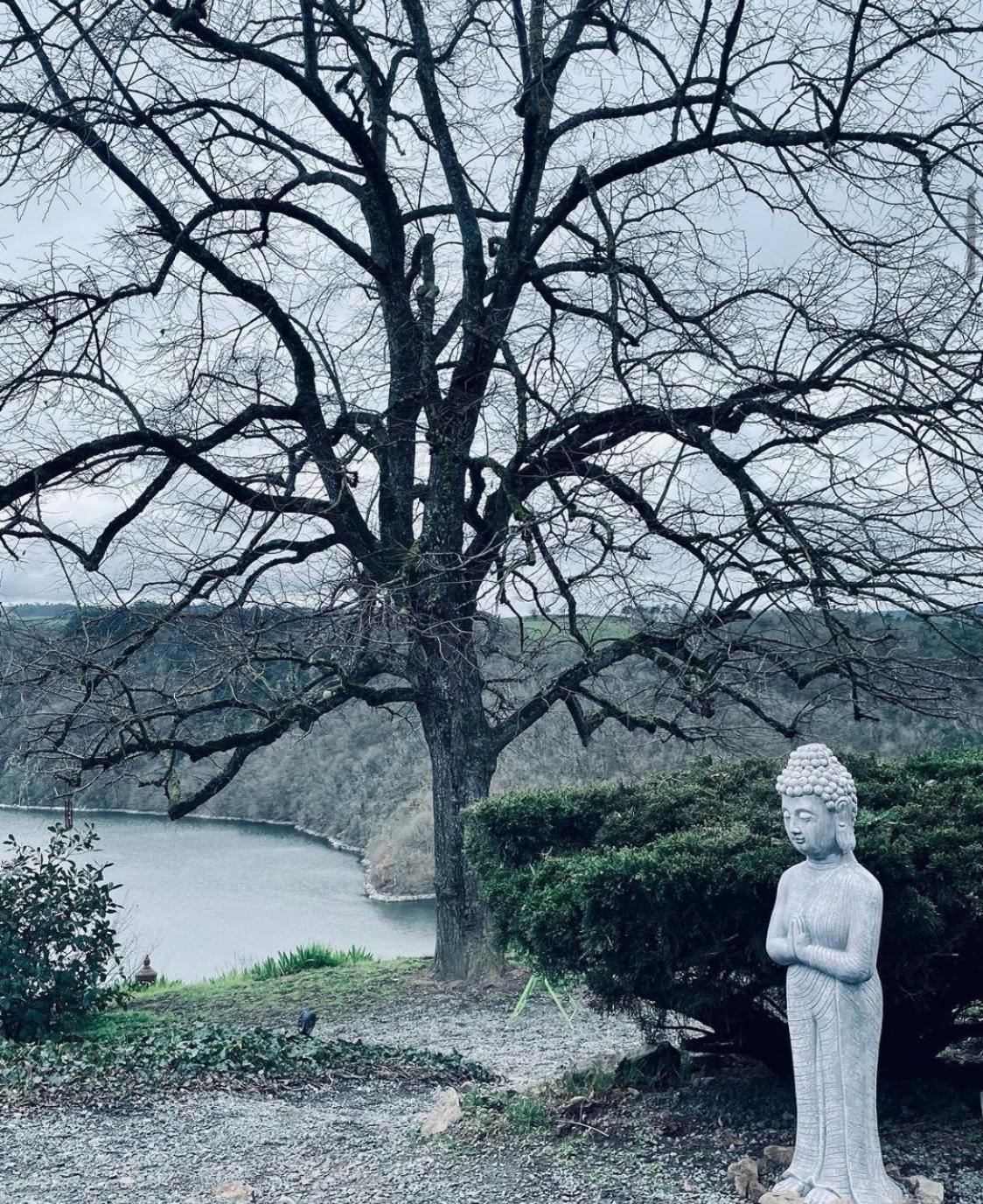 Les Yourtes O Fil 2 L'Eau Saint-Jean-Saint-Maurice-sur-Loire Экстерьер фото